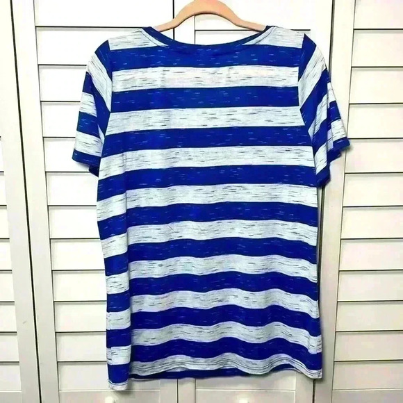 Florida Gators Scoop Neck Short Sleeve Striped Top Size XXL - Picture 6 of 6